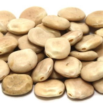 Lupini Beans