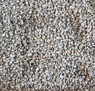Columbian Coffee Beans
